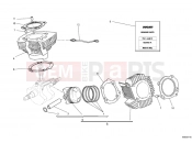 DUCATI 2014 Monster 696 ABS CYLINDER - PISTON » ENGINE CASE