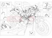 DUCATI 2014 Monster 796 ABS - DMT WIRING HARNESS » WIRING HARNESS