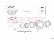 DUCATI 2013 Hypermotard 796 CYLINDER - PISTON » ENGINE CASE