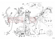 DUCATI 2011 Superbike 1198 WIRING HARNESS » WIRING HARNESS