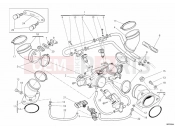 DUCATI 2011 Monster 796 ABS THROTTLE BODY » INTAKE, CARBURETTOR