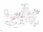 DUCATI 2008 Superbike 1098 TIMING BELT » UNCLASSIFIED