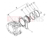 PIAGGIO Cylinder-piston-wrist pin, assy