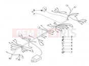 PIAGGIO Carnaby 200 Main cable harness