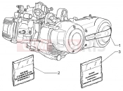 PIAGGIO X9 500 Evolution (USA) motor