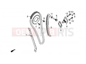 Chain tensioner - Gilera Coguar
