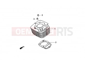 Cylinder - Gilera Coguar
