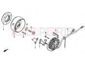 Generator - Gilera Coguar