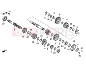 Transmission - Gilera Coguar