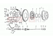 MOTOGUZZI SP 750 Clutch