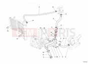 DUCATI Superbike 999 S AMA Replica COOLING CIRCUIT » UNCLASSIFIED