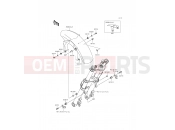 KAWASAKI ER-6f ABS (EX650FEF) Front Fender(s)