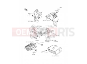 KAWASAKI 2014 Fuel Injection