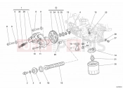 DUCATI Monster S2R 1000 OIL PUMP - FILTER » LUBRICATION SYSTEM