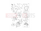 KAWASAKI W800 (EJ800AEFA) Left Engine Cover(s)