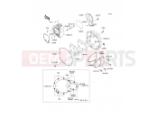 KAWASAKI W800 (EJ800AEFA) Right Engine Cover(s)