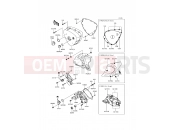 KAWASAKI W800 (EJ800AFF) Left Engine Cover(s)