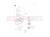 KAWASAKI ER-5 (ER500-D1) Cylinder/Piston(s)