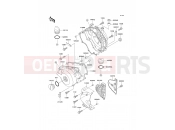 KAWASAKI KLE250 (KLE250-A6) Engine Cover(s)