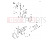 KAWASAKI MULE 4010 4x4 (KAF620THF) Cylinder Head