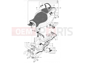 MV Agusta 2002-2003 F4 750S Rear Fairing (double seat)