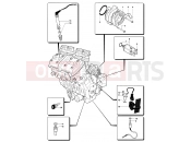 MV Agusta 2004-2006 F4 1000S Engine Electric System