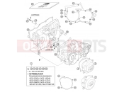 ENGINE CASE - KTM 250 SXS (6300D1) [EU] 2004