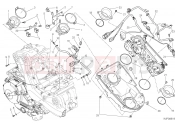 DUCATI 2015 Monster 821 THROTTLE BODY [MOD:M 821;XST:AUS,EUR,FRA,JAP]