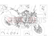 DUCATI 2019 Monster 821 WIRING HARNESS [MOD:M 821]