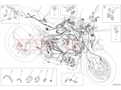 DUCATI 2020 Monster 1200 WIRING HARNESS [MOD:M 1200]