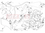 DUCATI 2020 Monster 1200 COOLING SYSTEM [MOD:M 1200]