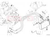 DUCATI 2020 Multistrada 1260 OIL COOLER [MOD:MS1260]