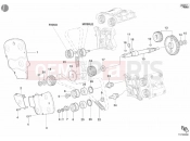 DUCATI Superbike 998 Matrix Single-Seat TIMING BELT » UNCLASSIFIED