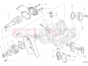 DUCATI Scrambler Desert Sled VERTICAL CYLINDER HEAD - TIMING [MOD:SCR800DS]