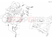 DUCATI 2019 Scrambler Full Throttle WIRING HARNESS (COIL) [MOD:SCR800FT]