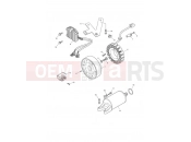 Starter & Alternator - Triumph DAYTONA 600 & 650 2006