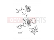 Engine Covers - Daytona 600 - Triumph DAYTONA 600 & 650 2006