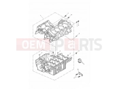 Crankcases - Triumph DAYTONA 600 & 650 2006