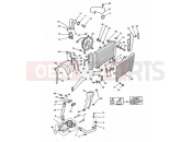 Triumph 1994 SPEED TRIPLE (CARBS) Cooling system