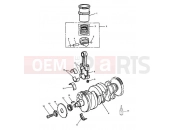 Triumph 1995 SPEED TRIPLE (CARBS) Crankshaft, Connecting Rods...