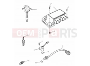 Engine Management System - Triumph SPEED TRIPLE 141872 > 210444 2004