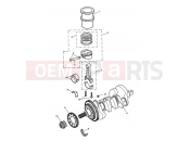 Crankshaft, Connecting Rods... - Triumph SPEED TRIPLE 141872 > 210444 2004