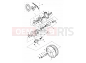 Rear Wheel & Final Drive - Triumph SPEED TRIPLE 141872 > 210444 2004