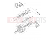 TRIUMPH Speed Triple S Rear Wheel & Final Drive