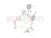 TRIUMPH Speed Triple S Starter & Alternator