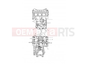 TRIUMPH Speed Triple S Crankcase Bolts