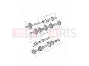Triumph 1998 SPRINT CARBS Transmission