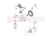 TRIUMPH SPRINT RS 139277 > Alternator/Starter