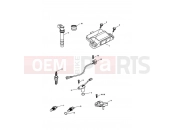 Triumph 2009 SPRINT ST 208167 > Engine Management System