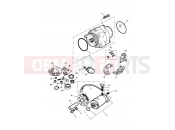 Triumph 2001 ADVENTURER Alternator & Starter